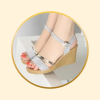 Ladies Footwear